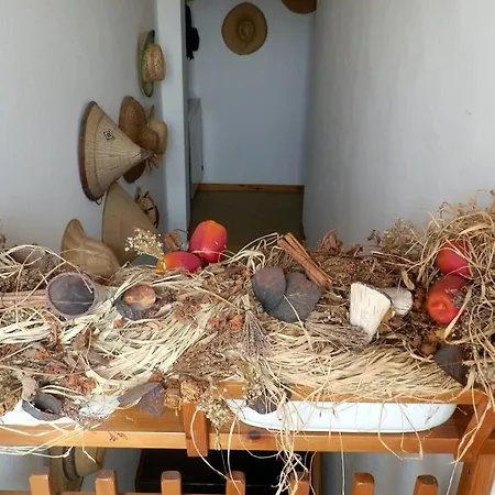 Ca' Delle Rose Holiday home *